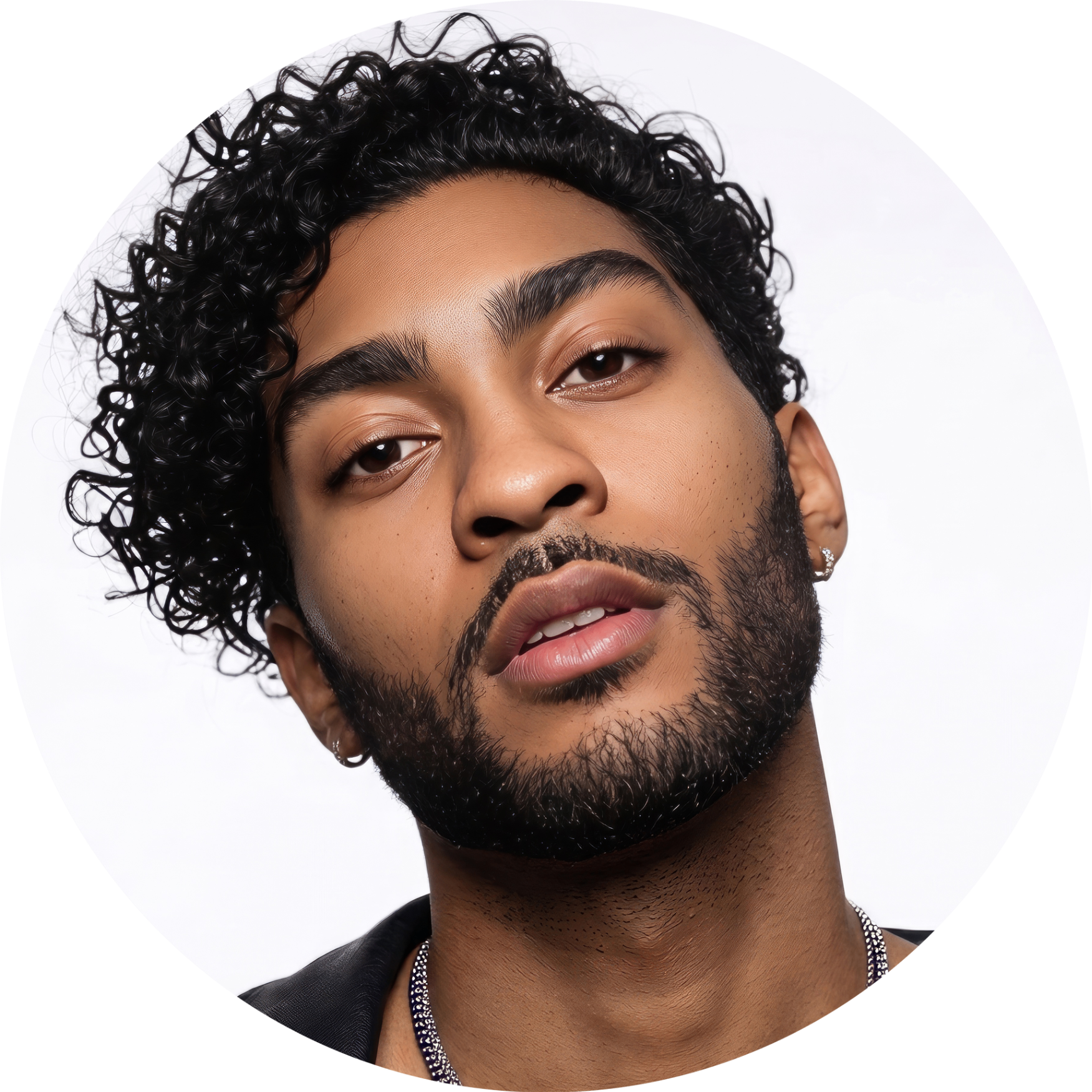 Dre Prompts: AI Visual Prompt Library